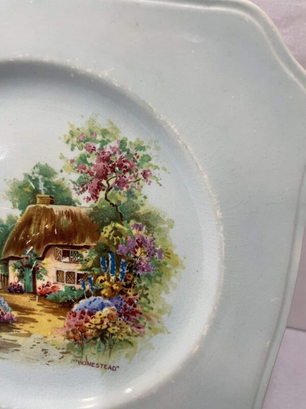 Empire Shelton Ivory Plate - Image 3