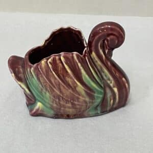 Casey ware swan