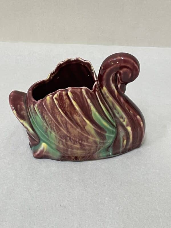 Casey ware swan