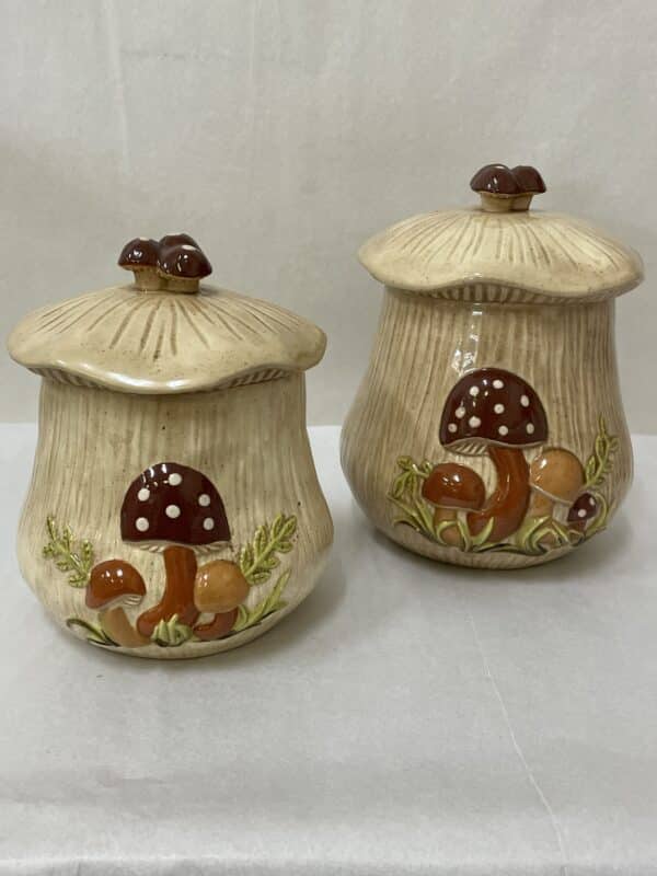 Ceramic mushroom food storage containers